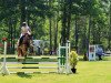 dressage horse Chess C (Holsteiner, 2002)