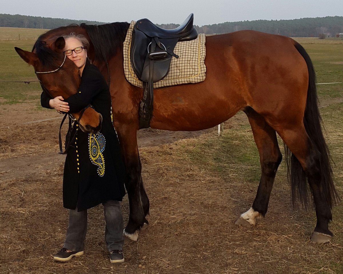 Pferd Lacotan 2 (Oldenburger, 2008, von Lancado)