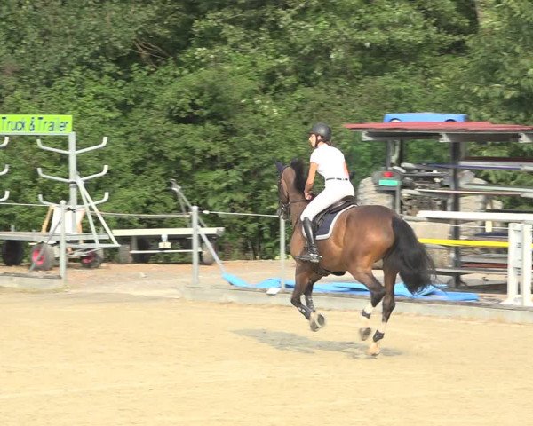 Summer Masters Maienfeld 2019