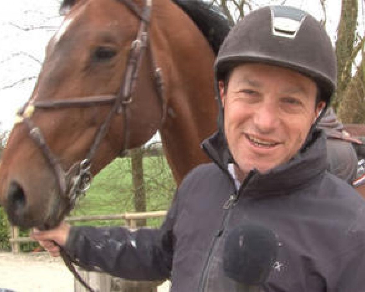 Deckhengst Topaze Latour (Selle Français, 2007, von Diamant de Semilly)