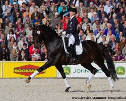 stallion Diamond Star 3 (Oldenburg, 2003, from Diamond Hit)