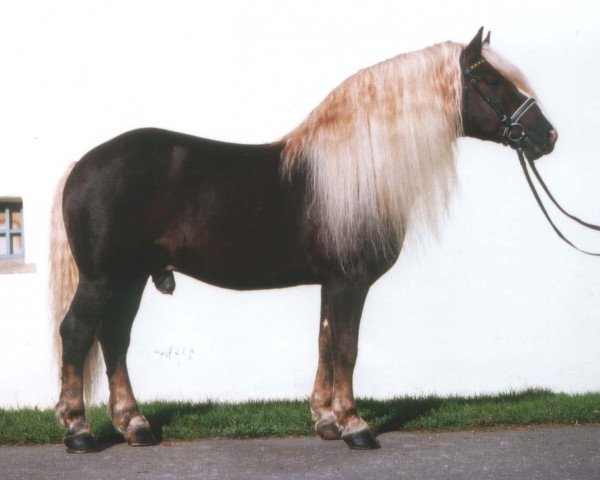 horse Riegel (Black Forest Horse, 1982, from Retter)