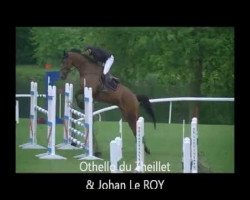 horse Otello du Theillet (Selle Français, 2002, from Quat'Sous)