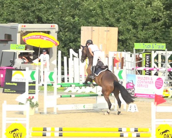 Summer Masters Maienfeld 2019