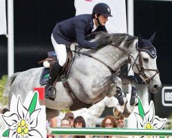 Springpferd Ardcolum Duke (Irish Sport Horse, 2004, von Gypsy Duke)