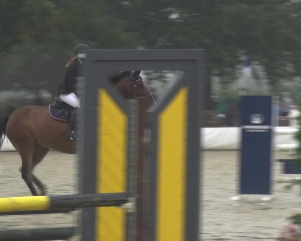 Reitturnier Neuss-Allerheiligen 2019