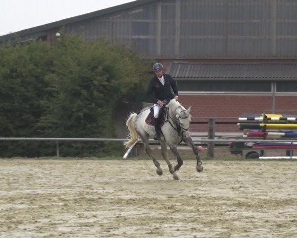 Reitturnier Neuss-Allerheiligen 2019