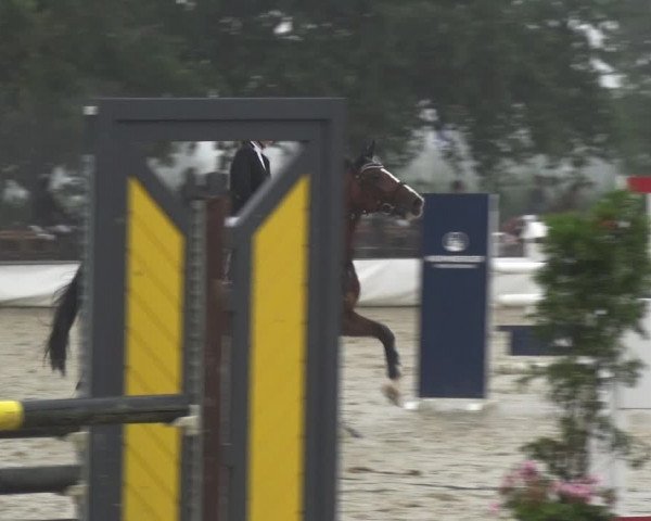 Reitturnier Neuss-Allerheiligen 2019