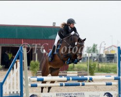 dressage horse Inschi (German Warmblood, 2008, from Incello)