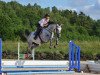 jumper Laissa du Buisson Z (Zangersheide riding horse, 2009, from Lucky Boy)