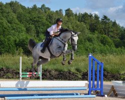 Springpferd Laissa du Buisson Z (Zangersheide Reitpferd, 2009, von Lucky Boy)