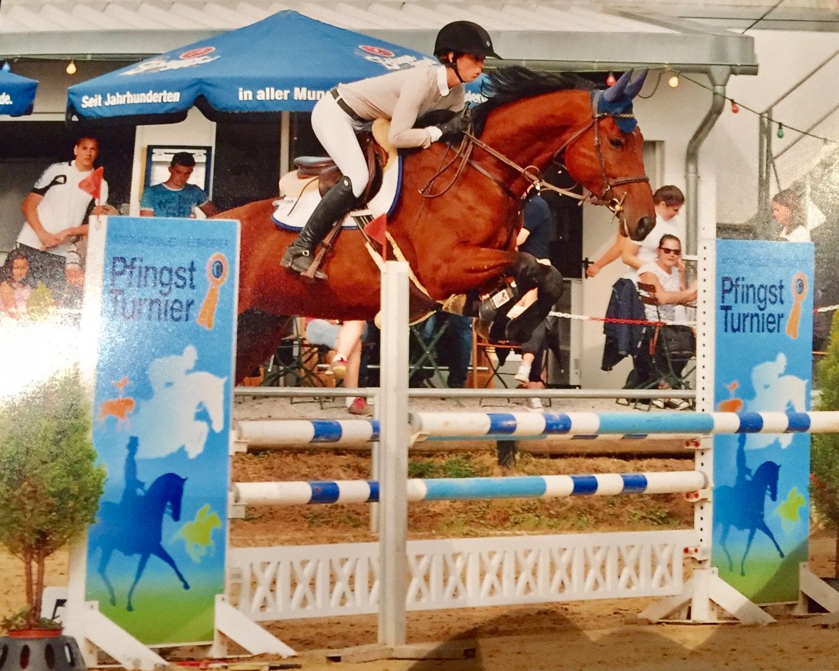 Springpferd Looping Louis 2 (Oldenburger Springpferd, 2012, von Los Angeles)