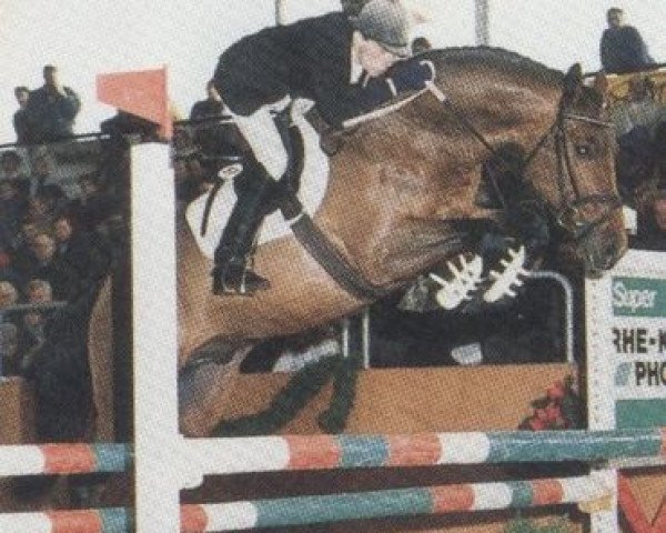 horse Lone Star (Holsteiner, 1987, from Landlord)