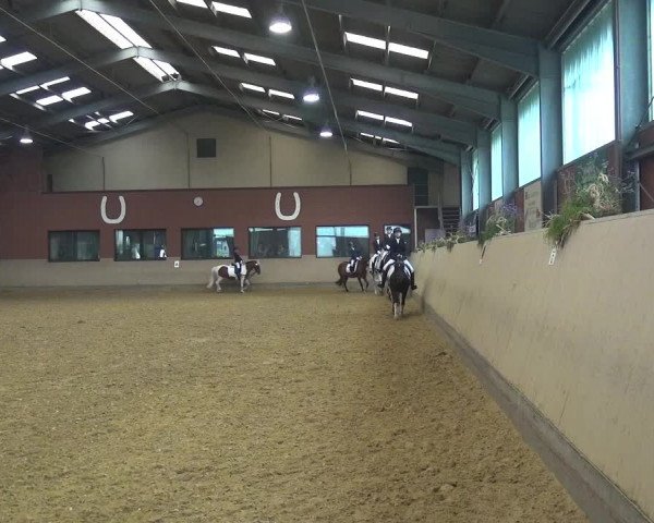 Reitturnier Neuss-Allerheiligen 2019