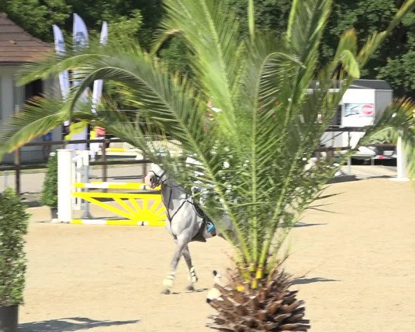 Reitturnier Bättwil 2019