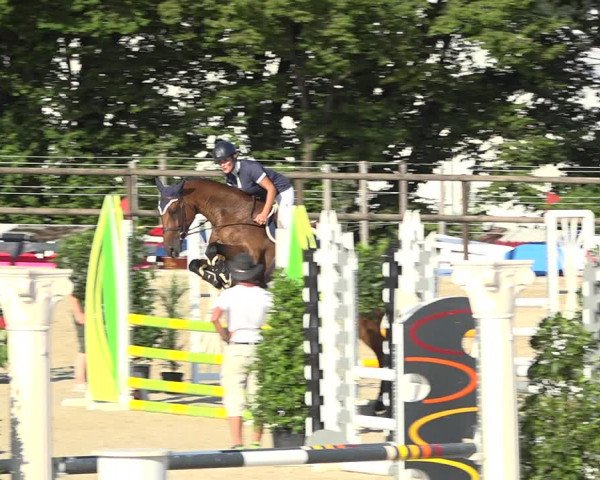 Reitturnier Bättwil 2019