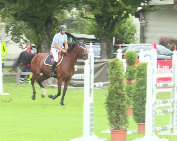 Reitturnier Langenthal 2019