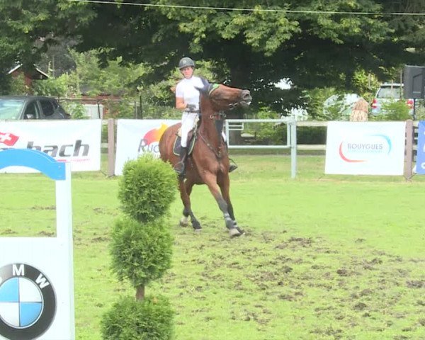 Reitturnier Langenthal 2019