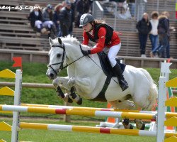 jumper Cappagh Lad (Connemara Pony, 2004, from Coosheen Stormboy)