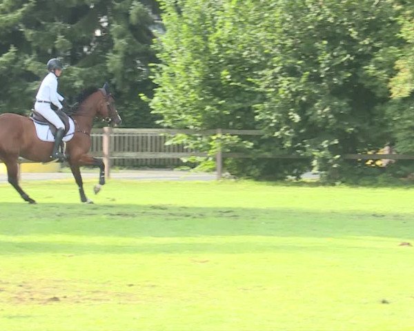 Reitturnier Langenthal 2019