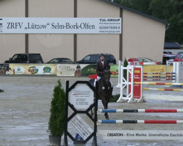 Reitturnier Olfen-Vinnum 2019