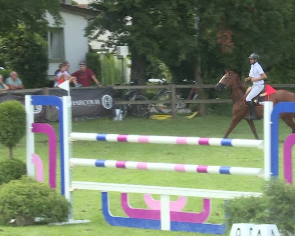 Reitturnier Langenthal 2019
