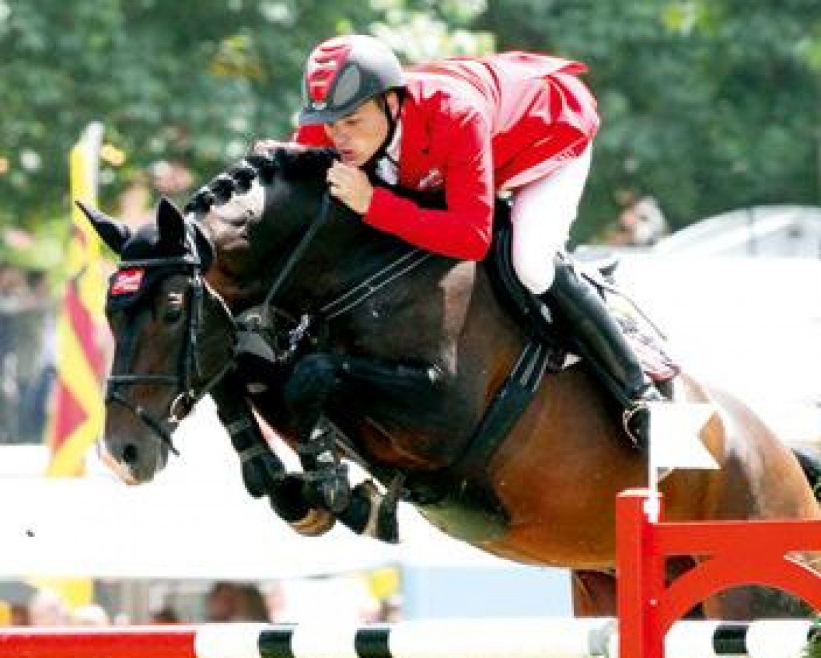 stallion Stakkato Gold (Hanoverian, 2001, from Stakkato)