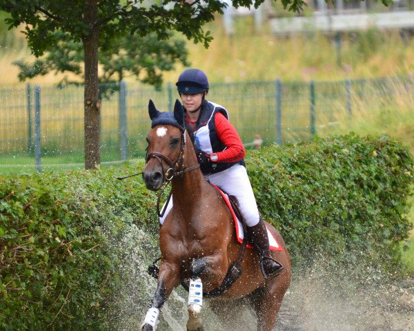 Springpferd Avanti Luna S (Württemberger, 2009, von Acordelli)