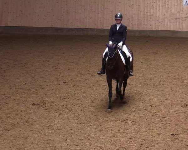 Reitturnier Olfen-Vinnum 2019