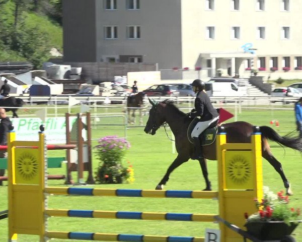Reitturnier St. Moritz 2019
