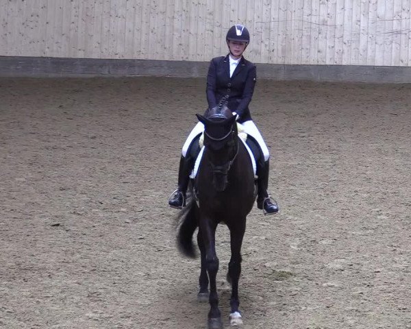 Reitturnier Olfen-Vinnum 2019