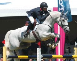 stallion Padock du Plessis (Selle Français, 2003, from Kannan)