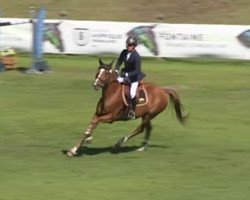 jumper Victor du Reverdy (Selle Français, 2009, from Quidam de Revel)