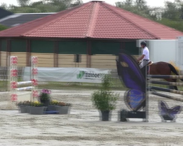 Reitturnier Schülp / Rendsburg 2019
