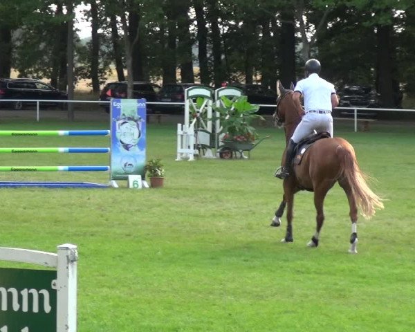 Reitturnier Zobbenitz 2019