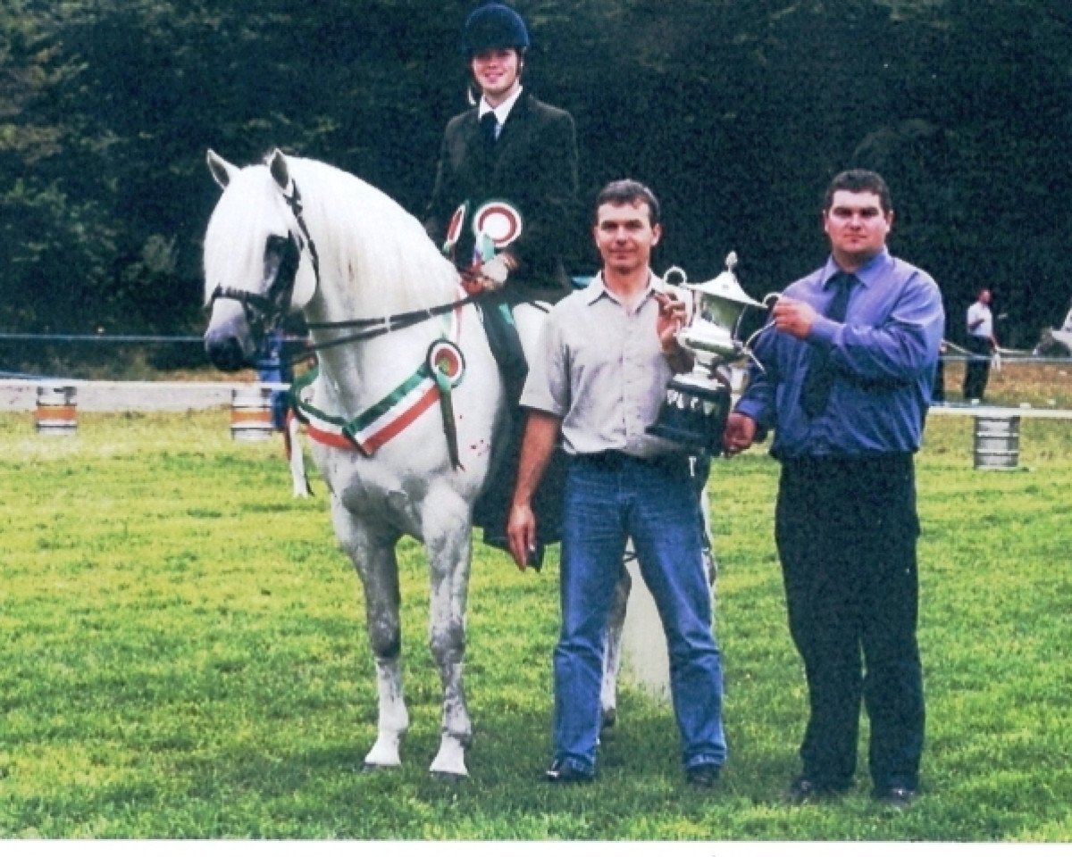 stallion Glenvalley Grey (Connemara Pony, 1993, from Coral Prince)