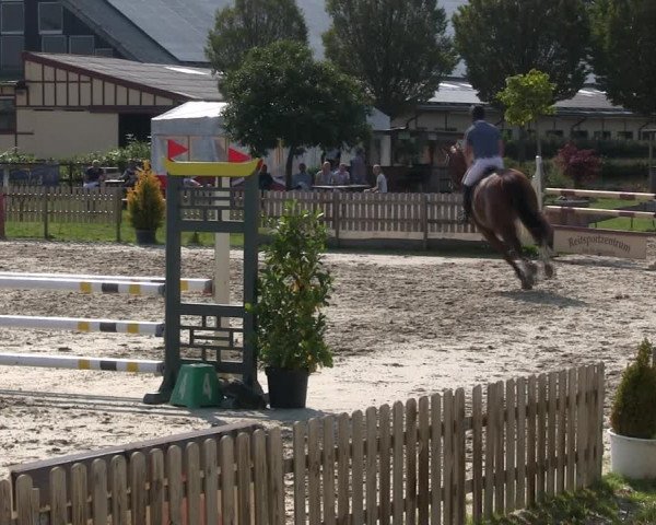 Reitturnier Schülp / Rendsburg 2019