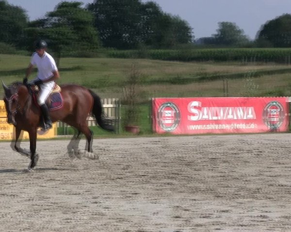 Reitturnier Schülp / Rendsburg 2019