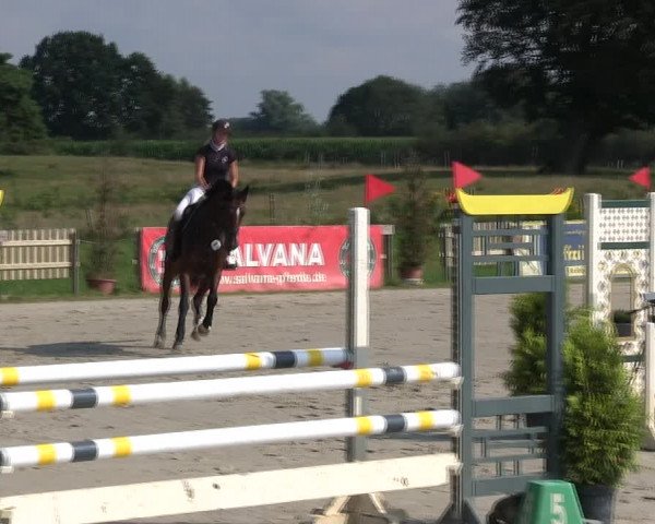 Reitturnier Schülp / Rendsburg 2019