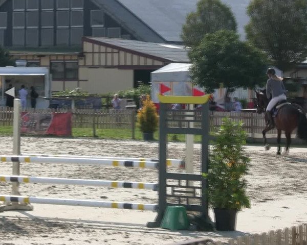 Reitturnier Schülp / Rendsburg 2019