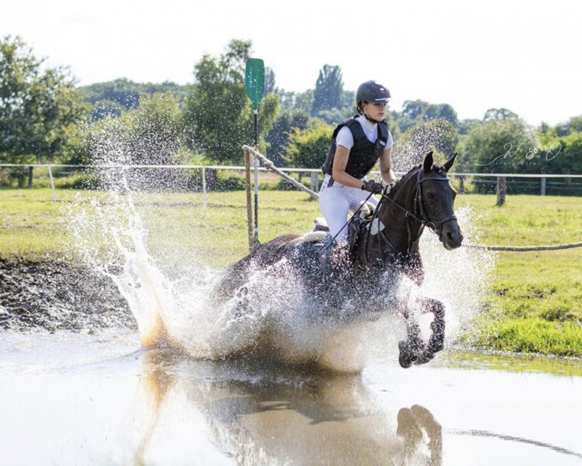 Springpferd Vlynda VH (Deutsches Reitpony, 2013, von Vivaldi)