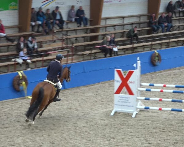 Reitturnier Sögel 2021