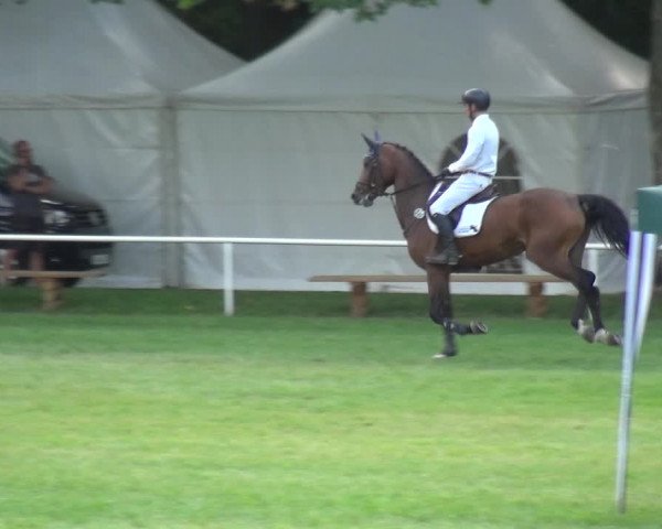 Reitturnier Zobbenitz 2019