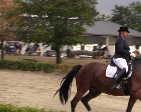 Reitturnier Olfen-Vinnum 2019
