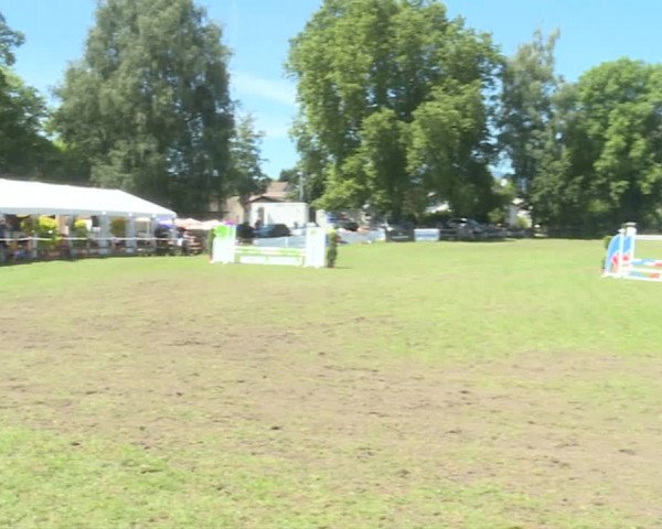 Reitturnier Langenthal 2019