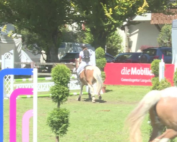 Reitturnier Langenthal 2019