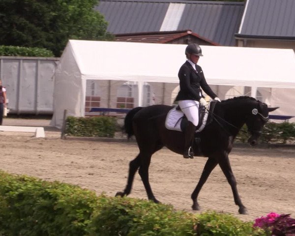 Reitturnier Olfen-Vinnum 2019