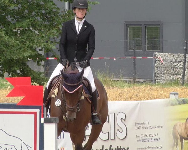 Reitturnier Jagstzell 2019
