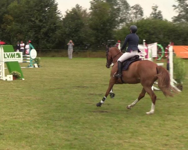 Reitturnier Sollerup 2019