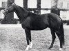 stallion Tennyson xx (Thoroughbred, 1970, from Val de Loir xx)